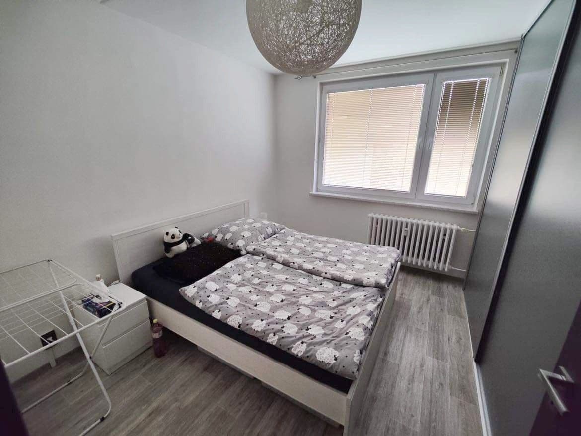 Pronájem bytu 3+1 66 m², Schweitzerova, Olomouc, Olomoucký kraj Pronájem bytu 3+1 66 m², Schweitzerova, Olomouc, Olomoucký kraj