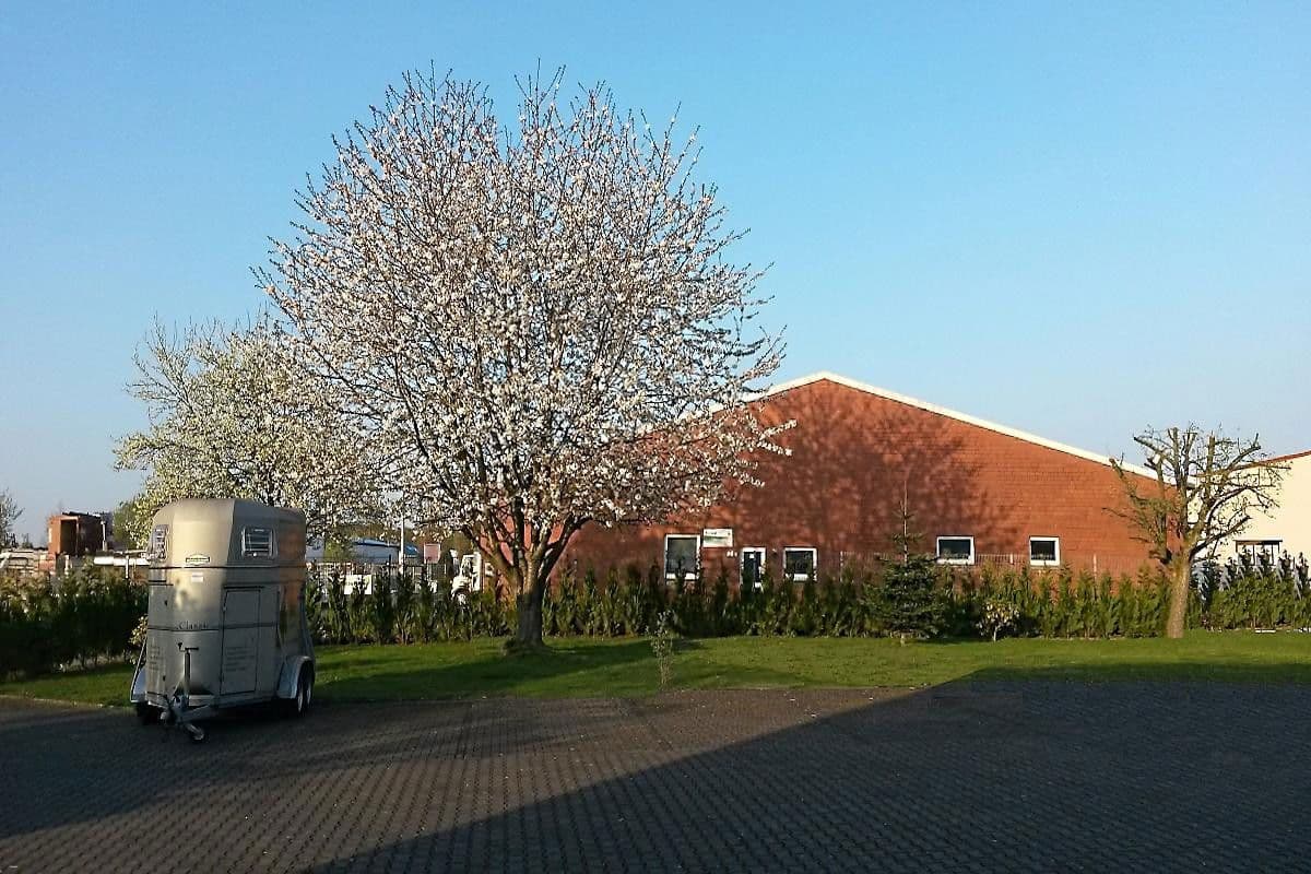 Prodej domu 550 m², pozemek 1.766 m², Dülmen, Severní Porýní-Vestfálsko Prodej domu 550 m², pozemek 1.766 m², Dülmen, Severní Porýní-Vestfálsko