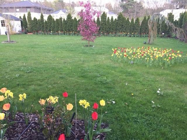 Prodej domu 265 m², pozemek 996 m², Potsdam Groß Glienicke zu Berlin, Braniborsko Prodej domu 265 m², pozemek 996 m², Potsdam Groß Glienicke zu Berlin, Braniborsko