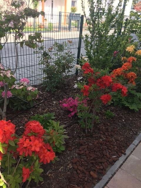 Prodej domu 265 m², pozemek 996 m², Potsdam Groß Glienicke zu Berlin, Braniborsko Prodej domu 265 m², pozemek 996 m², Potsdam Groß Glienicke zu Berlin, Braniborsko