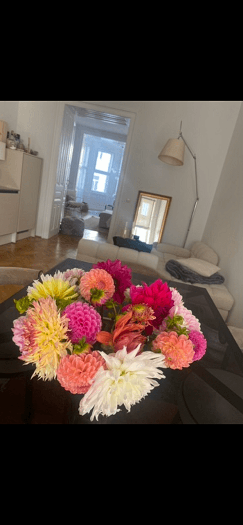 Prodej bytu 3+1 88 m², Schönbrunner Straße, Wien, Wien Prodej bytu 3+1 88 m², Schönbrunner Straße, Wien, Wien