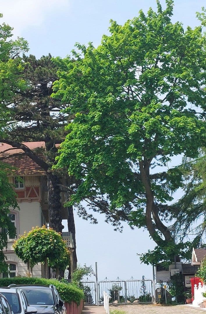 Prodej bytu 2+1 42 m², Göhren, Mecklenburg-Vorpommern Prodej bytu 2+1 42 m², Göhren, Mecklenburg-Vorpommern