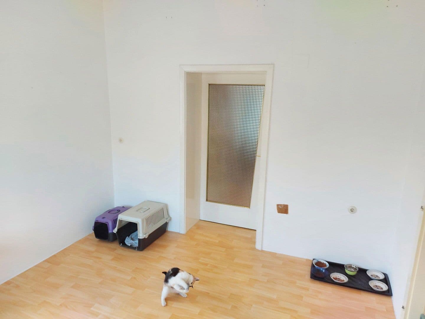 Prodej domu 86 m², pozemek 2.163 m², Sieggraben, Hradsko Prodej domu 86 m², pozemek 2.163 m², Sieggraben, Hradsko