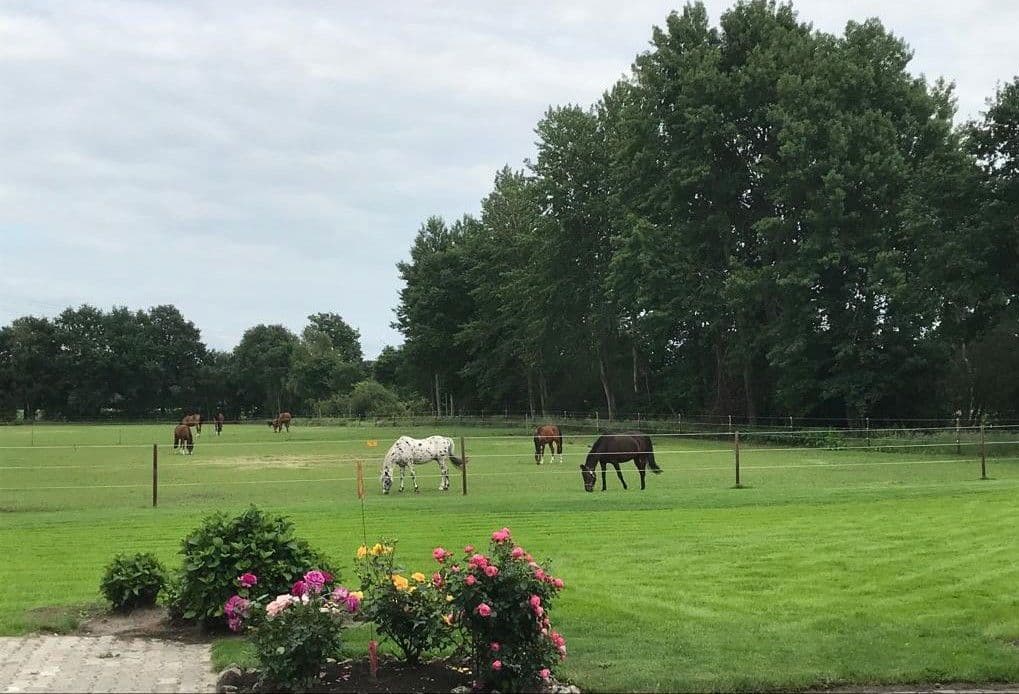 Pronájem bytu 1+1 37 m², Neulehe, Dolní Sasko Pronájem bytu 1+1 37 m², Neulehe, Dolní Sasko