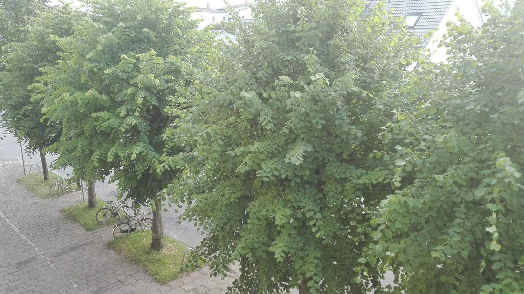 Pronájem bytu 3+kk 77 m², Lange Reihe 69, Greifswald, Mecklenburg-Vorpommern Pronájem bytu 3+kk 77 m², Lange Reihe 69, Greifswald, Mecklenburg-Vorpommern