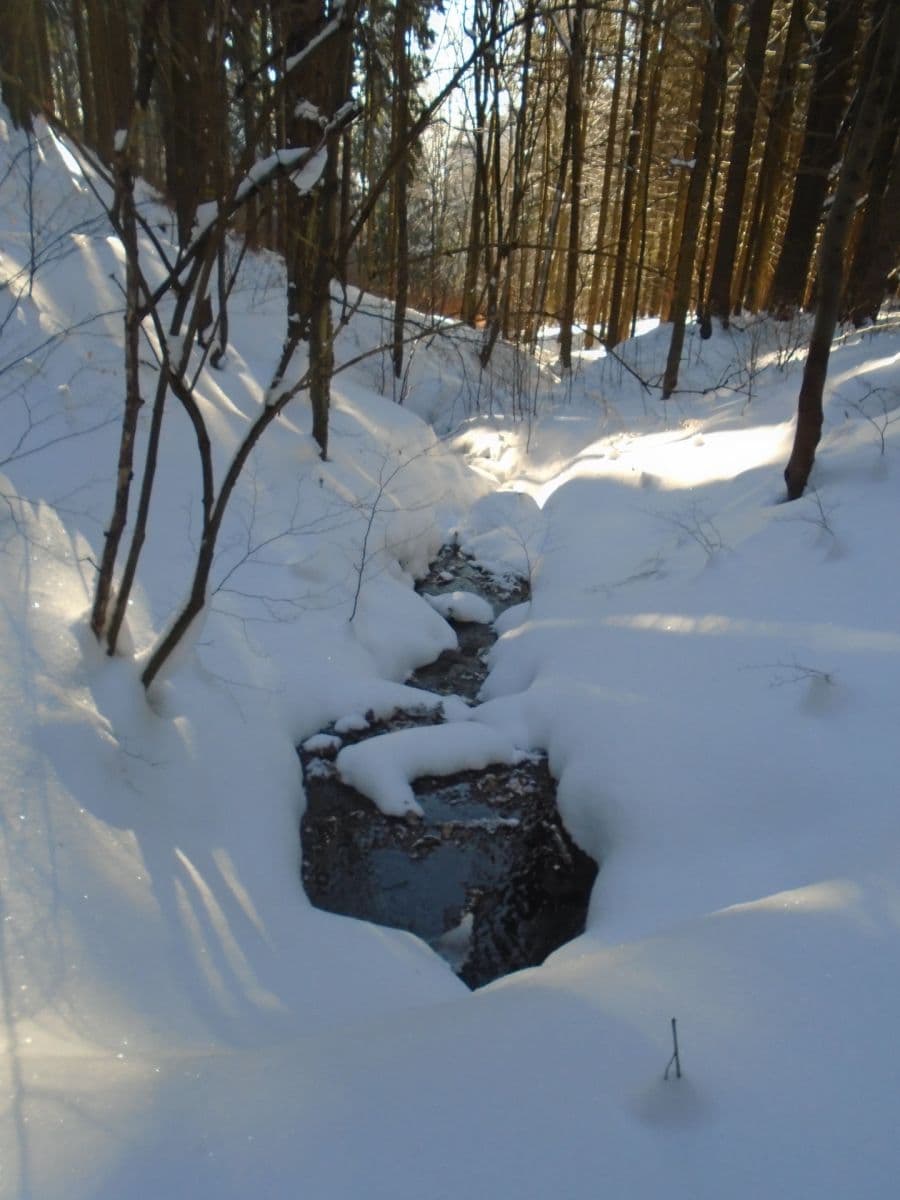 Prodej bytu 1+kk 49 m², Žacléř, Královéhradecký kraj Prodej bytu 1+kk 49 m², Žacléř, Královéhradecký kraj