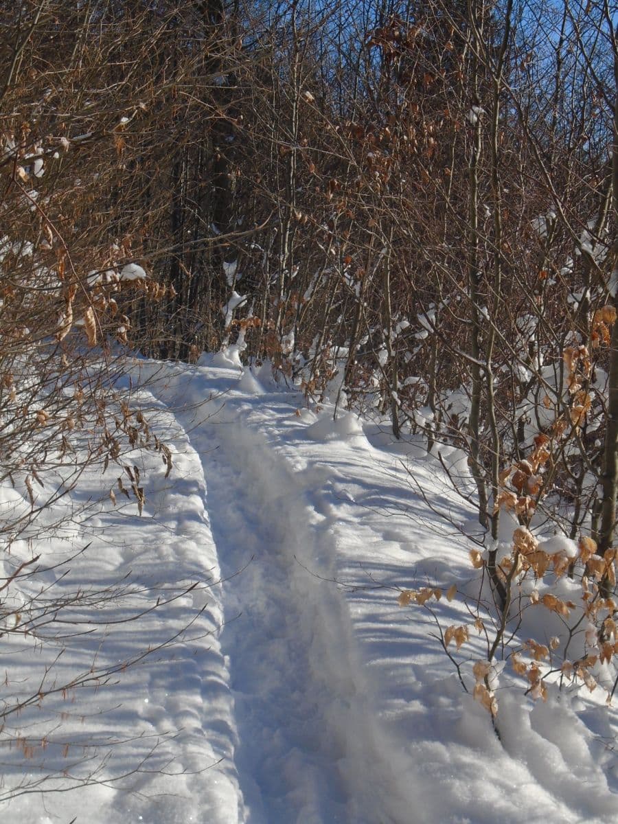 Prodej bytu 1+kk 49 m², Žacléř, Královéhradecký kraj Prodej bytu 1+kk 49 m², Žacléř, Královéhradecký kraj