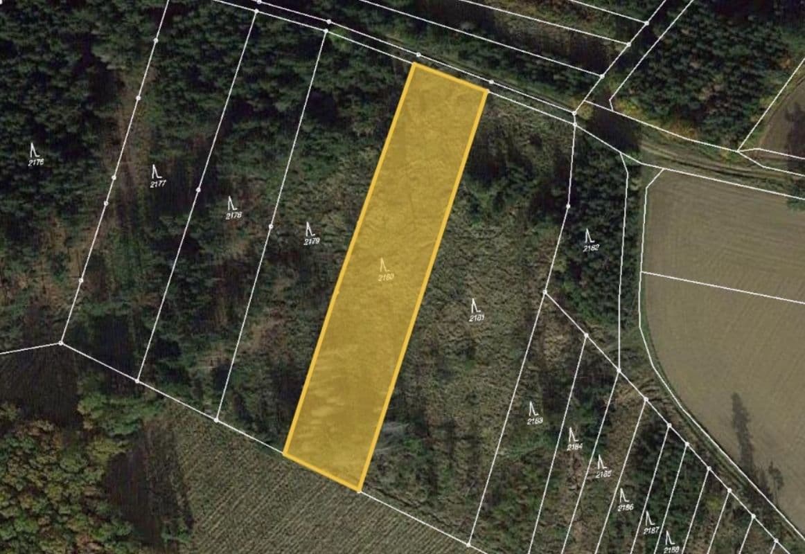 Prodej pozemku 3.101 m², Budkov, Kraj Vysočina Prodej pozemku 3.101 m², Budkov, Kraj Vysočina