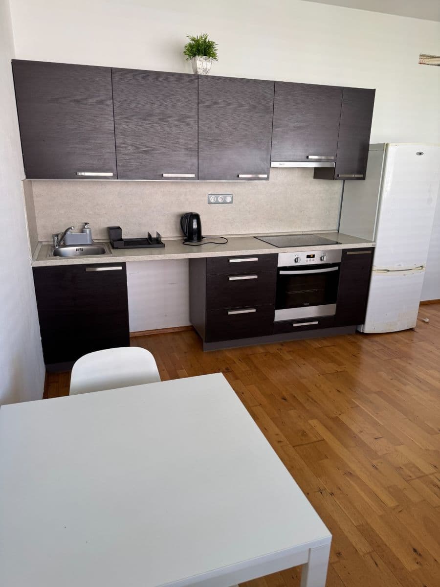 Pronájem bytu 1+kk 37 m², Palackého třída, Brno, Jihomoravský kraj Pronájem bytu 1+kk 37 m², Palackého třída, Brno, Jihomoravský kraj