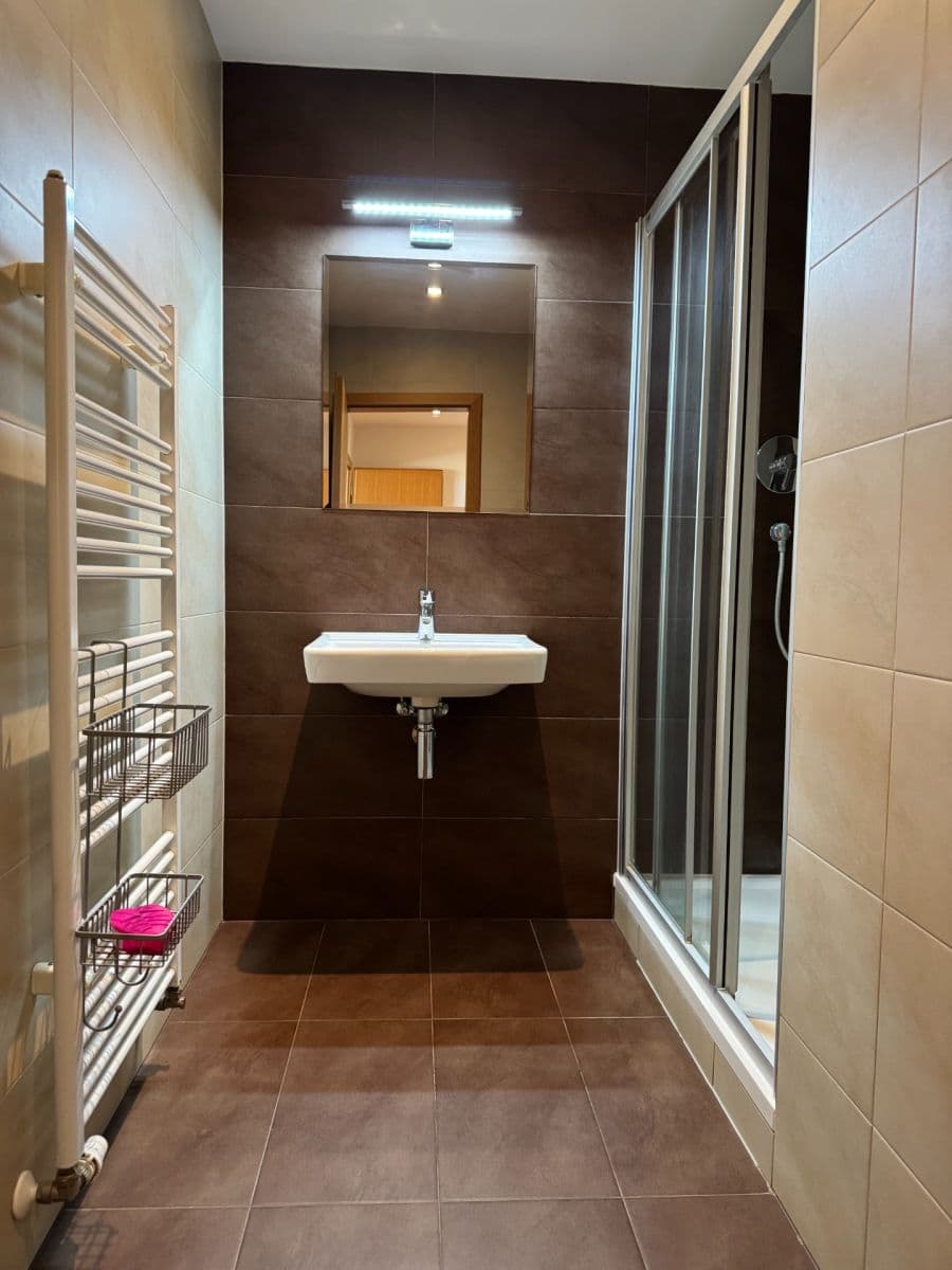 Pronájem bytu 1+kk 37 m², Palackého třída, Brno, Jihomoravský kraj Pronájem bytu 1+kk 37 m², Palackého třída, Brno, Jihomoravský kraj