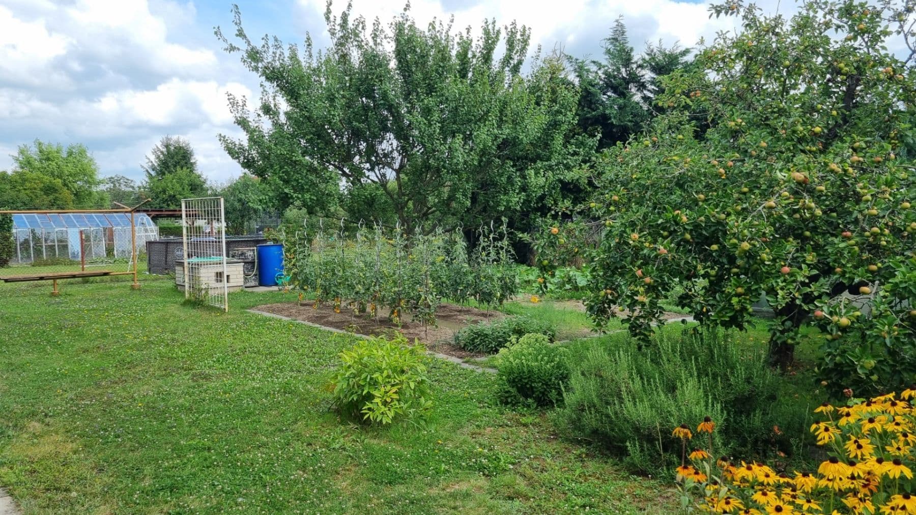 Prodej domu 180 m², pozemek 898 m², Mikulovická, Pardubice, Pardubický kraj Prodej domu 180 m², pozemek 898 m², Mikulovická, Pardubice, Pardubický kraj