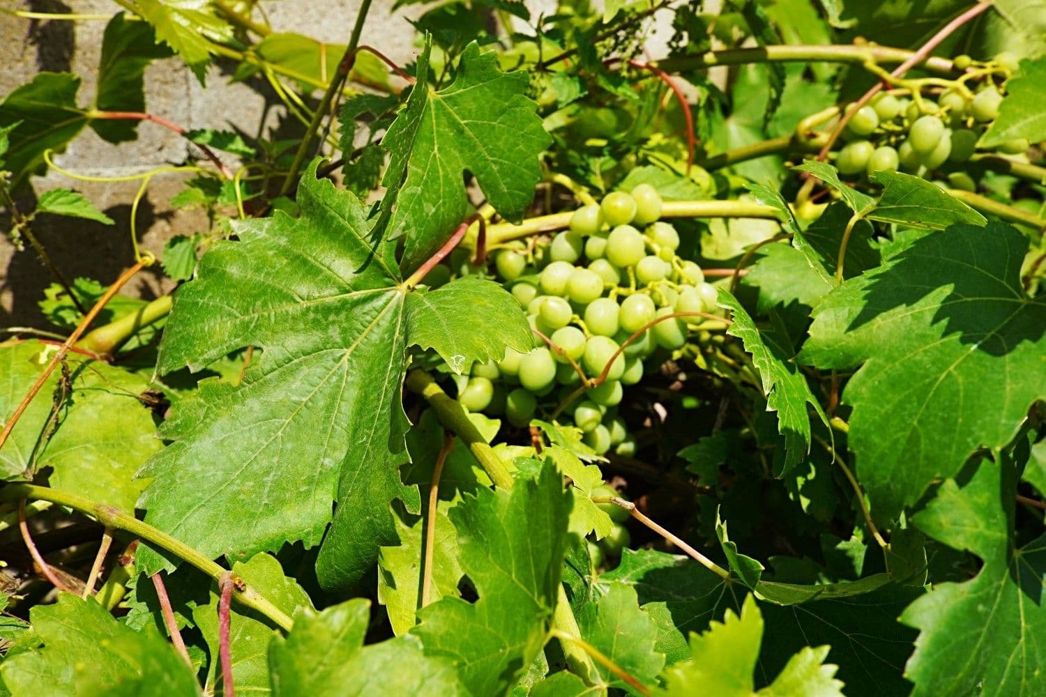 Prodej chaty, chalupy 77 m², pozemek 343 m², Stříbro, Plzeňský kraj Prodej chaty, chalupy 77 m², pozemek 343 m², Stříbro, Plzeňský kraj