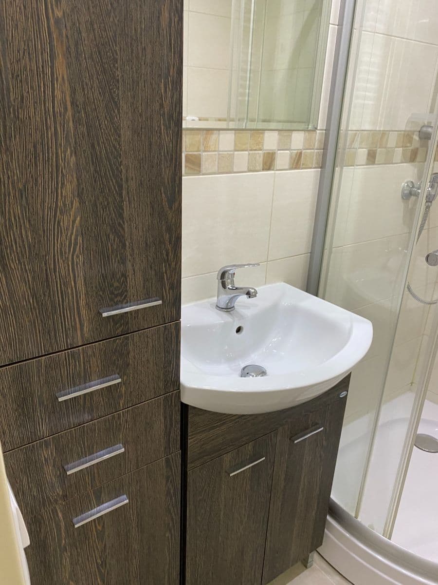 Pronájem bytu 1+kk 38 m², Praha, Praha Pronájem bytu 1+kk 38 m², Praha, Praha