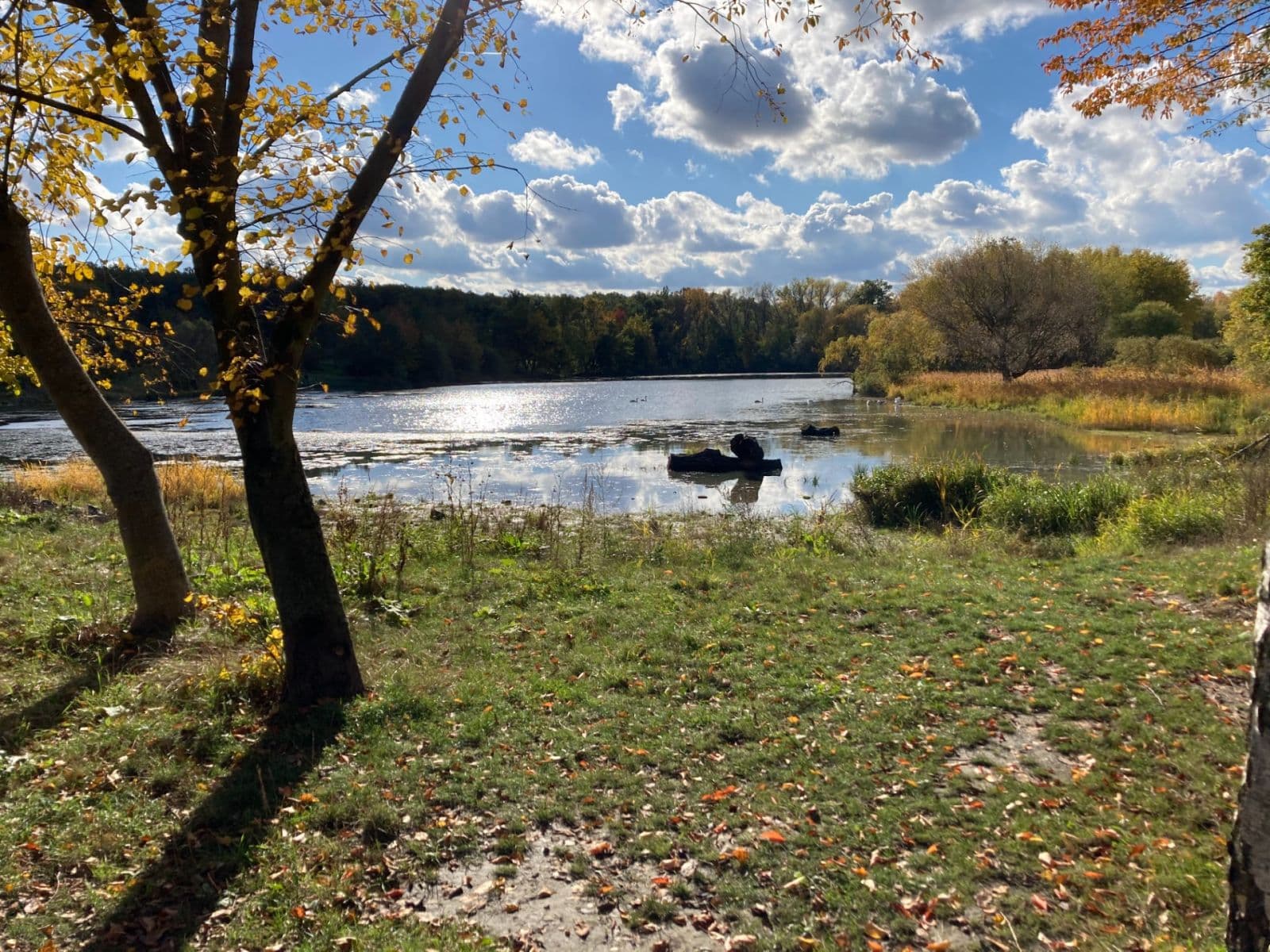 Pronájem bytu 2+kk 54 m², Jurkovičova, Praha, Praha Pronájem bytu 2+kk 54 m², Jurkovičova, Praha, Praha