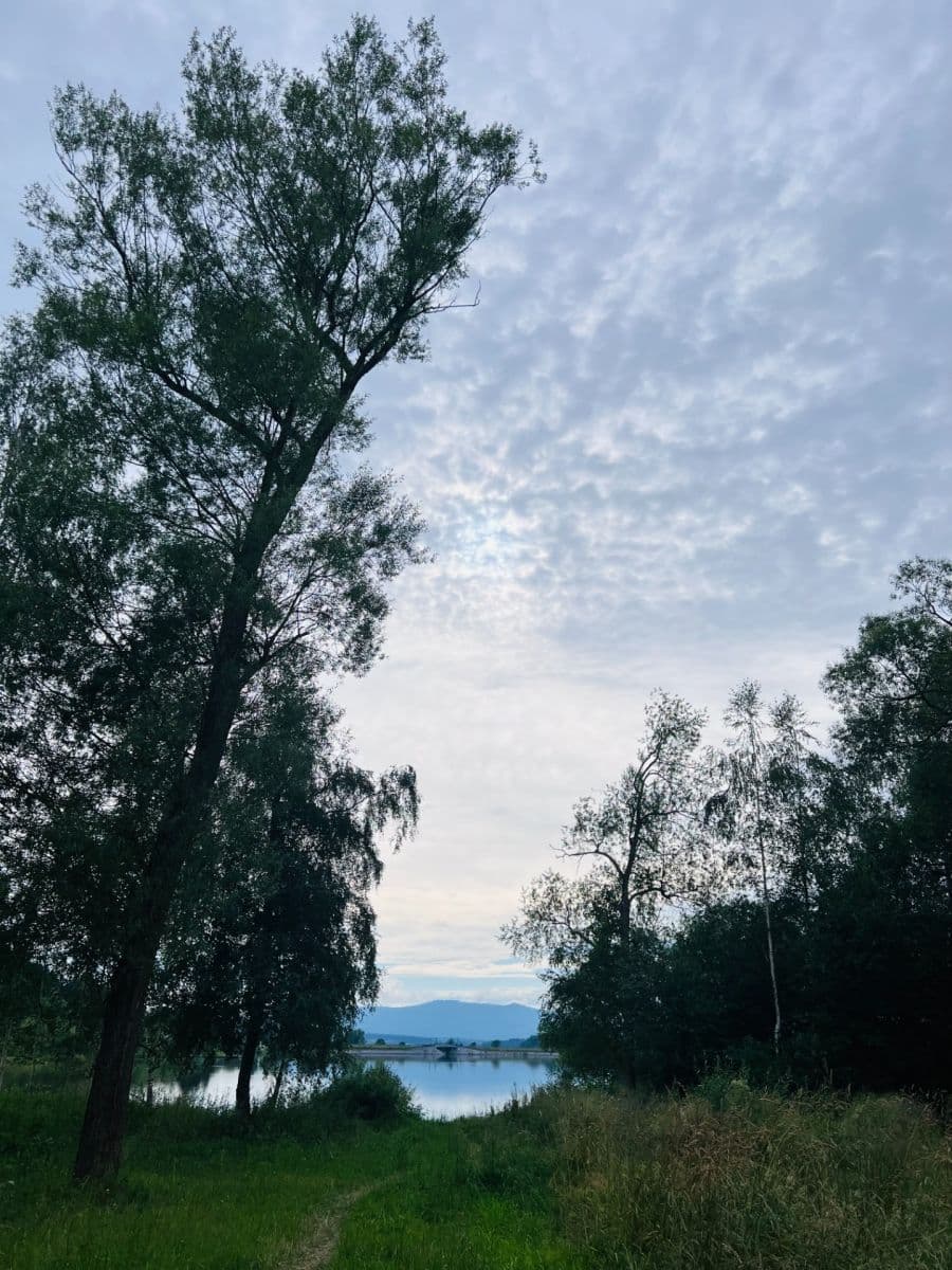 Prodej bytu 3+kk 51 m², Černá v Pošumaví, Jihočeský kraj Prodej bytu 3+kk 51 m², Černá v Pošumaví, Jihočeský kraj