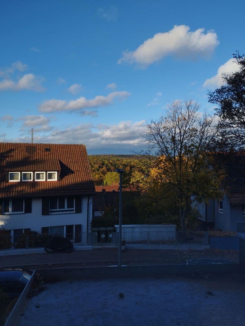 Prodej bytu 3+1 80 m², Stuttgart, Bádensko-Württembersko Prodej bytu 3+1 80 m², Stuttgart, Bádensko-Württembersko