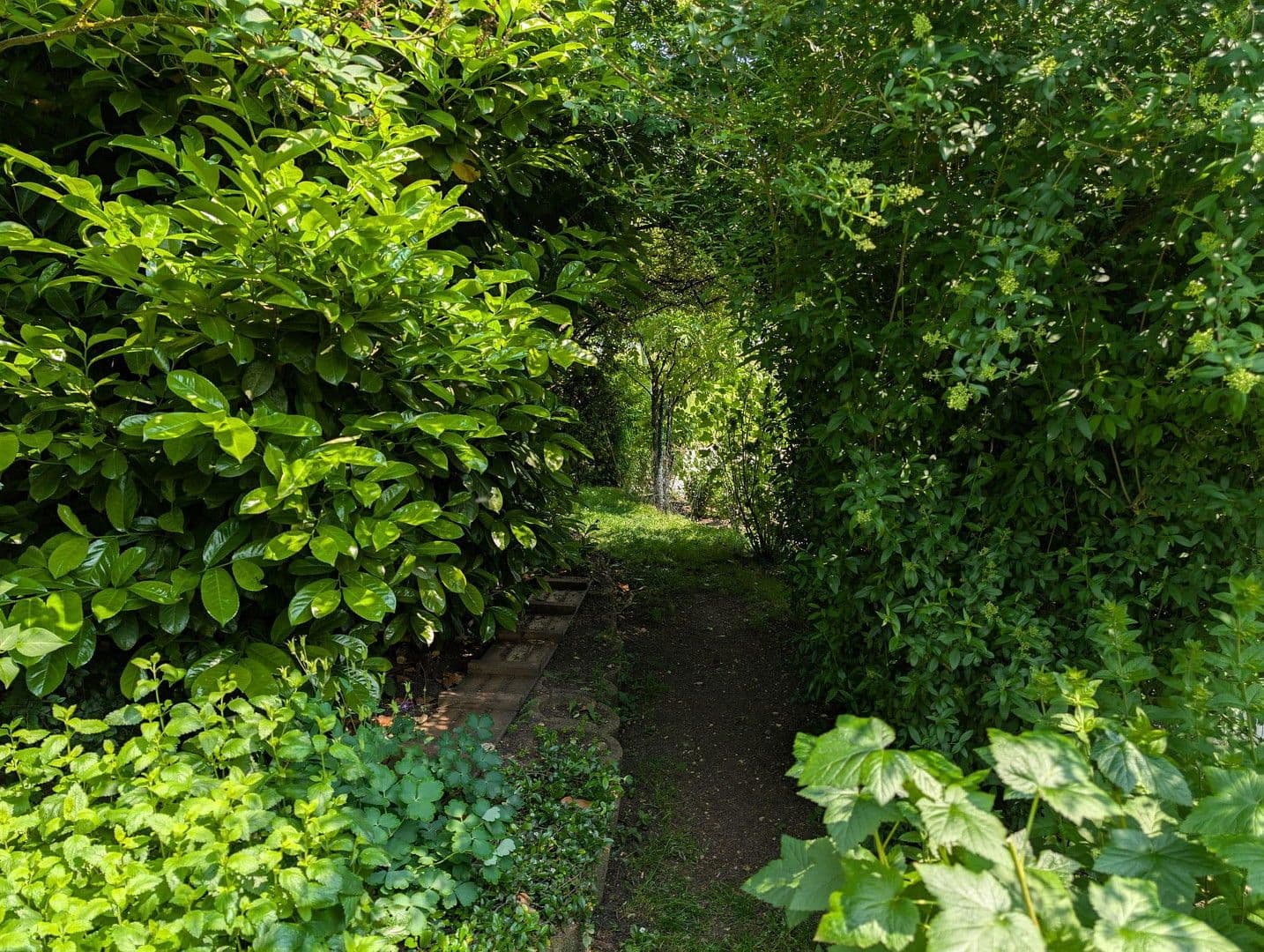 Prodej domu 120 m², pozemek 800 m², Eigeltingen, Bádensko-Württembersko Prodej domu 120 m², pozemek 800 m², Eigeltingen, Bádensko-Württembersko