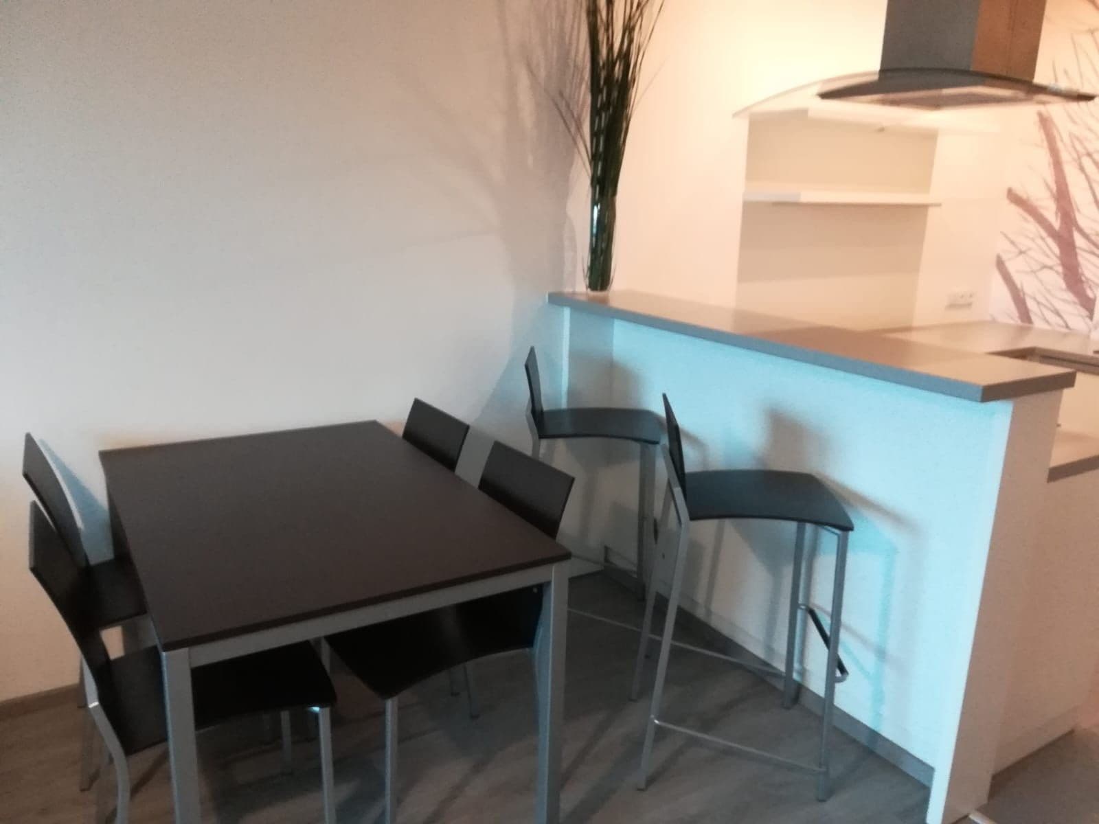 Pronájem bytu 2+kk 55 m², Rysova, Brno, Jihomoravský kraj Pronájem bytu 2+kk 55 m², Rysova, Brno, Jihomoravský kraj