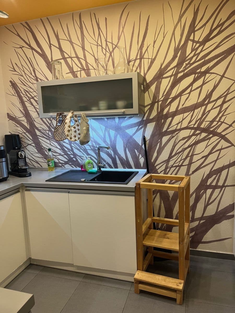 Pronájem bytu 2+kk 55 m², Rysova, Brno, Jihomoravský kraj Pronájem bytu 2+kk 55 m², Rysova, Brno, Jihomoravský kraj