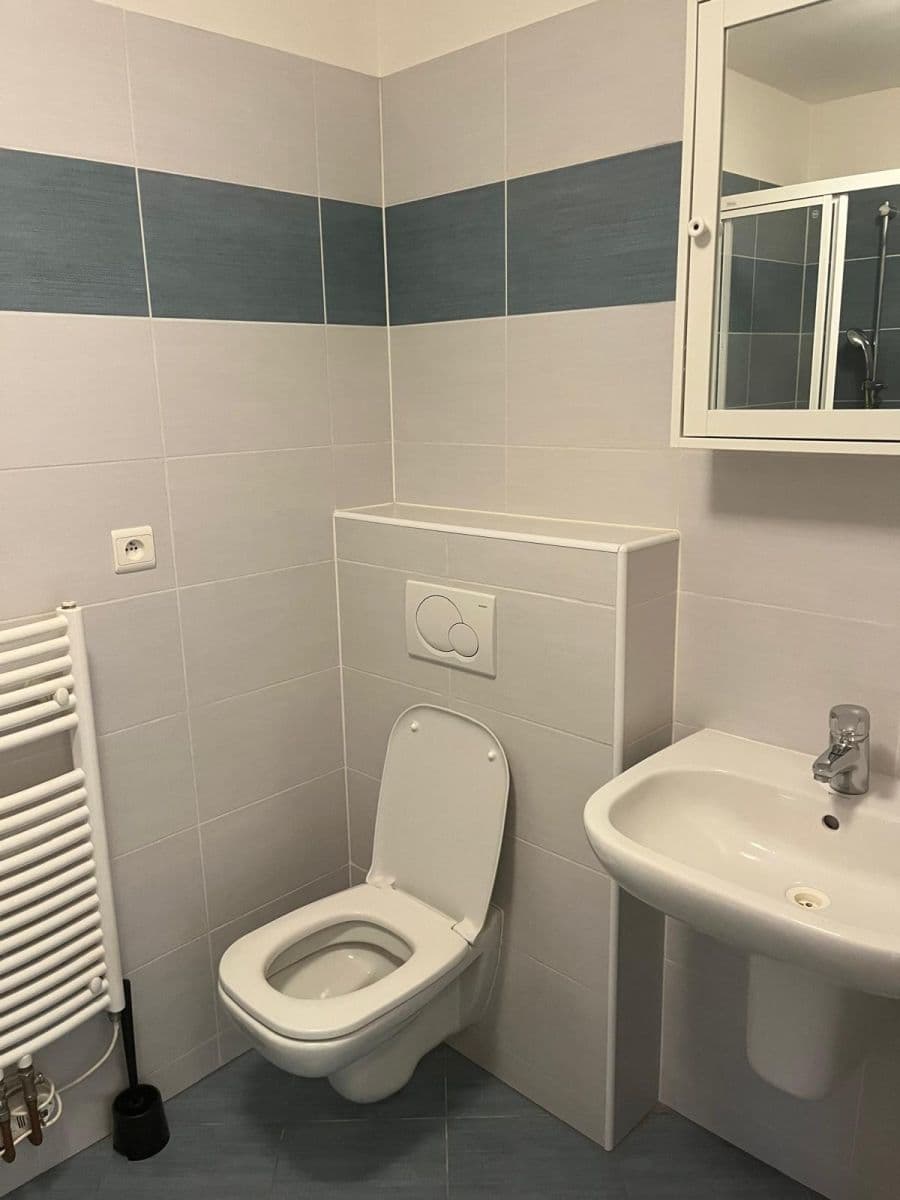 Pronájem bytu 1+kk 34 m², Přeučilova, Praha, Praha Pronájem bytu 1+kk 34 m², Přeučilova, Praha, Praha