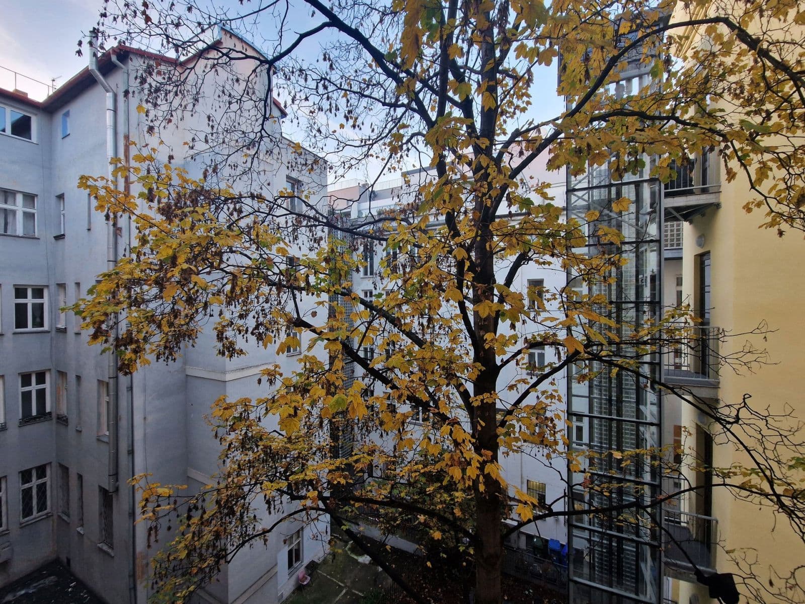 Pronájem bytu 3+1 78 m², Londýnská, Praha, Praha Pronájem bytu 3+1 78 m², Londýnská, Praha, Praha