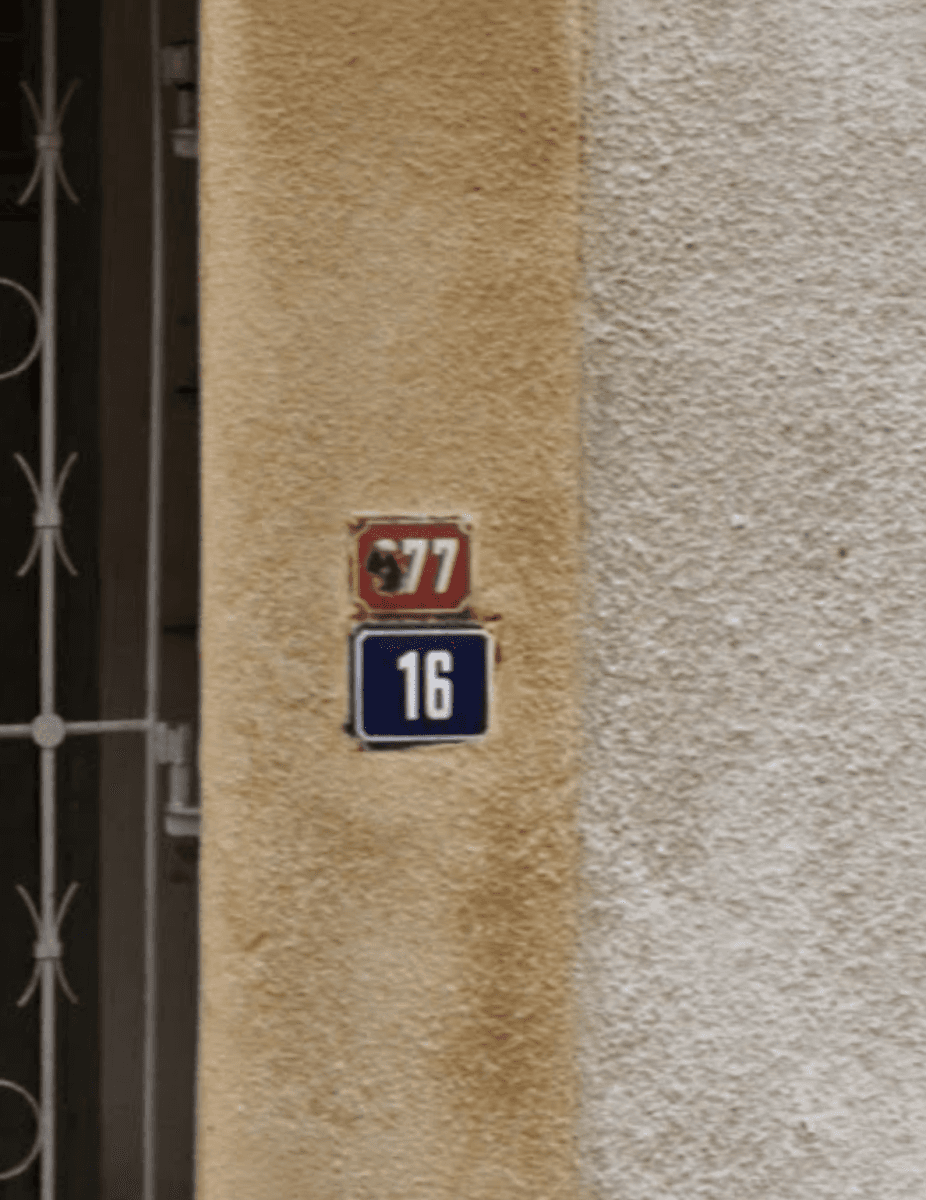 Prodej domu 804 m², pozemek 228 m², Maxima Gorkého, Vejprty, Ústecký kraj Prodej domu 804 m², pozemek 228 m², Maxima Gorkého, Vejprty, Ústecký kraj