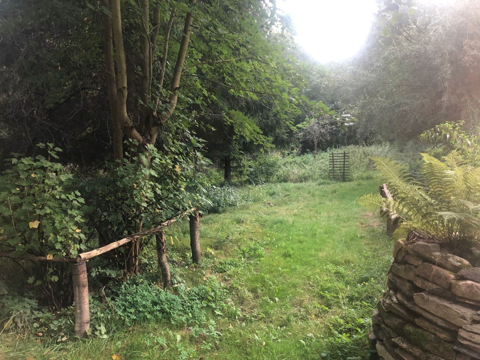 Prodej domu 220 m², pozemek 1.257 m², Malečov, Ústecký kraj Prodej domu 220 m², pozemek 1.257 m², Malečov, Ústecký kraj