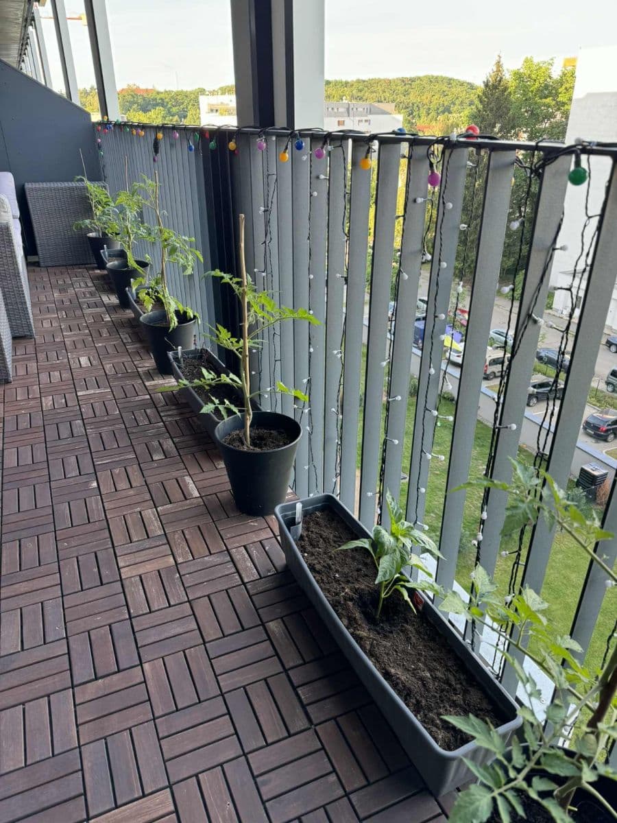 Pronájem bytu 2+kk 50 m², Lehovecká, Praha, Praha Pronájem bytu 2+kk 50 m², Lehovecká, Praha, Praha