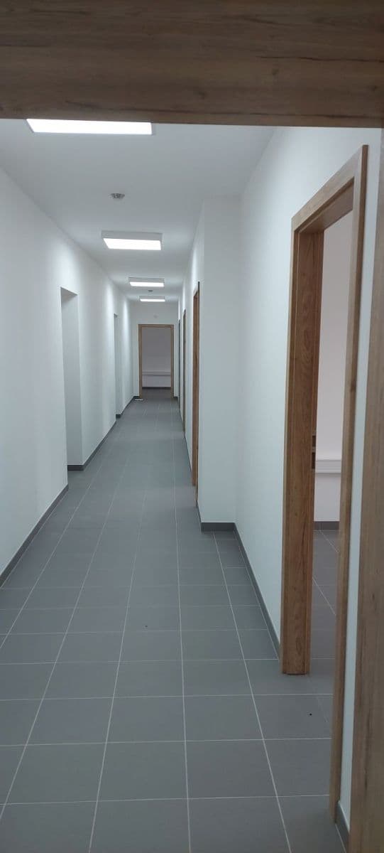 Pronájem nebytového prostoru 20 m², Zacpalova, Krnov, Moravskoslezský kraj Pronájem nebytového prostoru 20 m², Zacpalova, Krnov, Moravskoslezský kraj