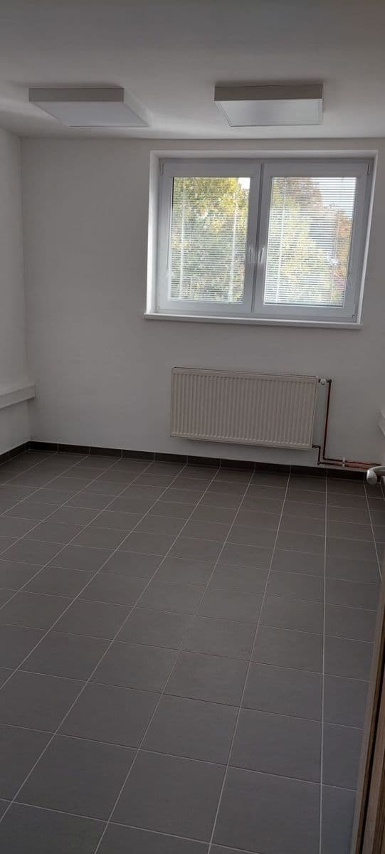 Pronájem nebytového prostoru 20 m², Zacpalova, Krnov, Moravskoslezský kraj Pronájem nebytového prostoru 20 m², Zacpalova, Krnov, Moravskoslezský kraj