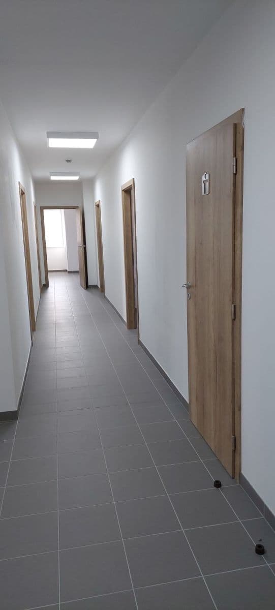 Pronájem nebytového prostoru 20 m², Zacpalova, Krnov, Moravskoslezský kraj Pronájem nebytového prostoru 20 m², Zacpalova, Krnov, Moravskoslezský kraj