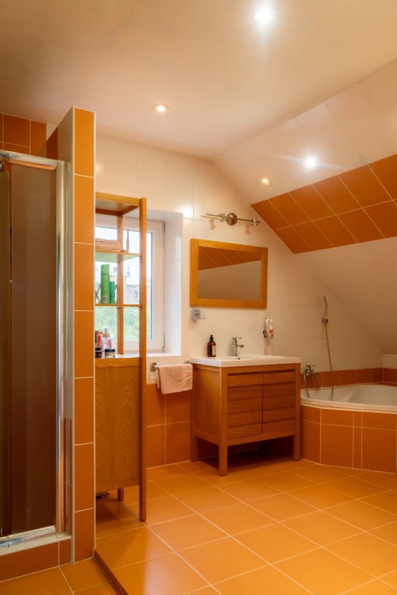 Prodej domu 550 m², pozemek 2.805 m², 44434, Domašov u Šternberka, Olomoucký kraj Prodej domu 550 m², pozemek 2.805 m², 44434, Domašov u Šternberka, Olomoucký kraj