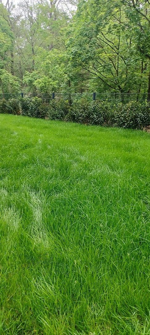 Pronájem bytu 5+1 173 m², Kronberger Strasse, Bad Soden am Taunus, Hessen Pronájem bytu 5+1 173 m², Kronberger Strasse, Bad Soden am Taunus, Hessen