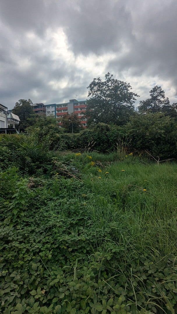 Prodej domu 90 m², pozemek 530 m², Haslacher Str. 166, Freiburg, Bádensko-Württembersko Prodej domu 90 m², pozemek 530 m², Haslacher Str. 166, Freiburg, Bádensko-Württembersko