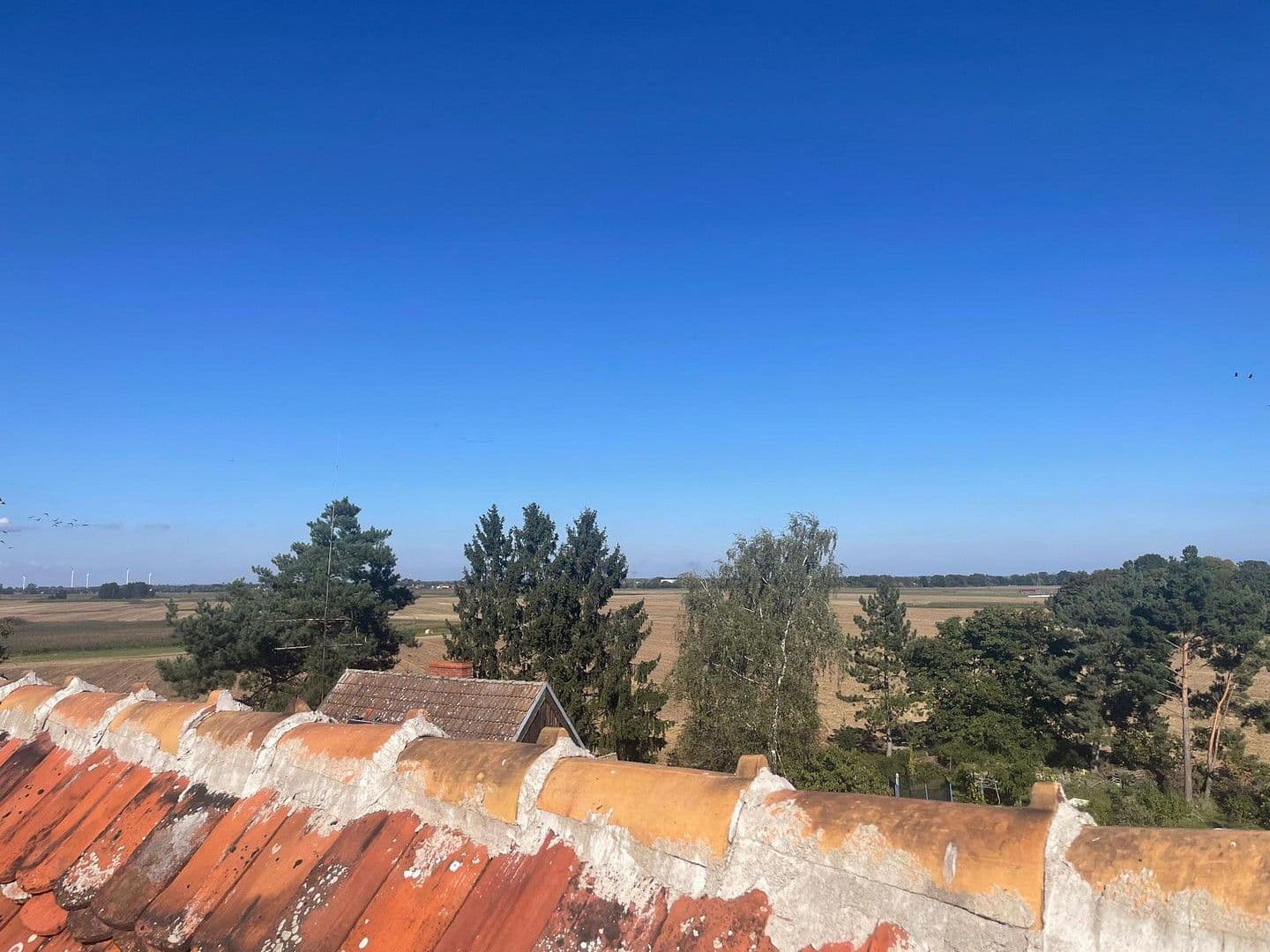 Prodej domu 800 m², pozemek 1.500 m², Neuhardenberg, Braniborsko Prodej domu 800 m², pozemek 1.500 m², Neuhardenberg, Braniborsko