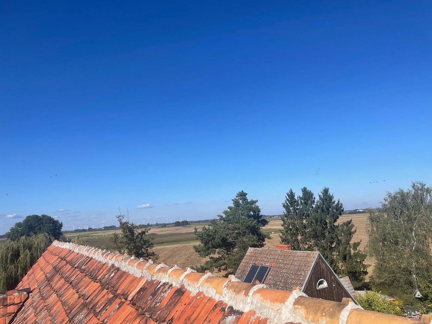 Prodej domu 800 m², pozemek 1.500 m², Neuhardenberg, Braniborsko Prodej domu 800 m², pozemek 1.500 m², Neuhardenberg, Braniborsko