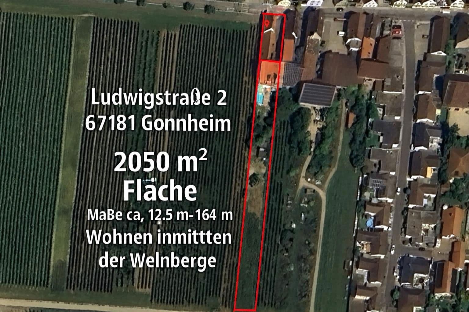 Prodej domu 309 m², pozemek 800 m², Ludwigstrasse 2 + 2a, Gönnheim, Porýní-Falc Prodej domu 309 m², pozemek 800 m², Ludwigstrasse 2 + 2a, Gönnheim, Porýní-Falc