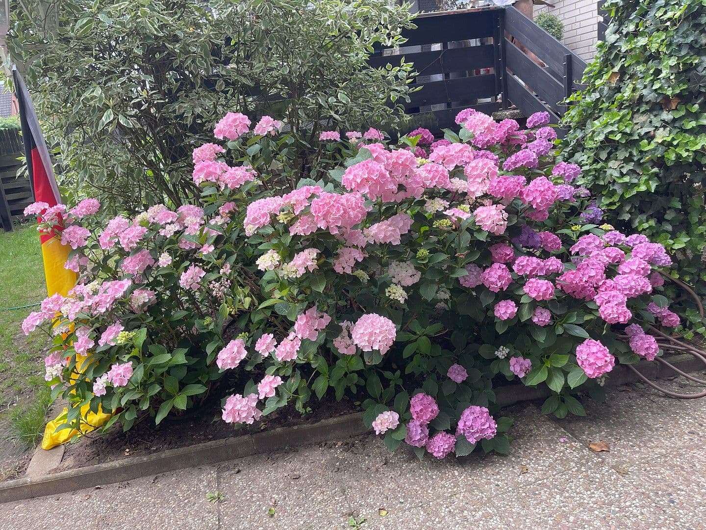 Prodej domu 210 m², pozemek 970 m², Hannover, Dolní Sasko Prodej domu 210 m², pozemek 970 m², Hannover, Dolní Sasko