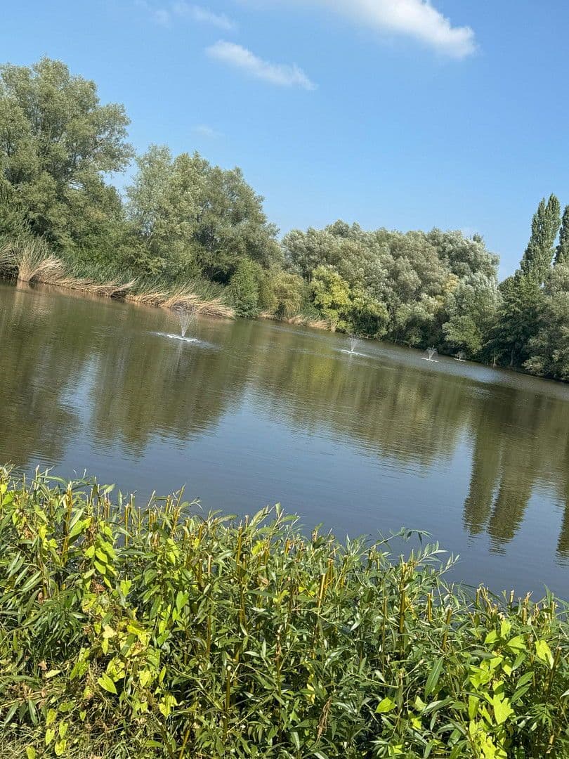 Prodej domu 210 m², pozemek 970 m², Hannover, Dolní Sasko Prodej domu 210 m², pozemek 970 m², Hannover, Dolní Sasko