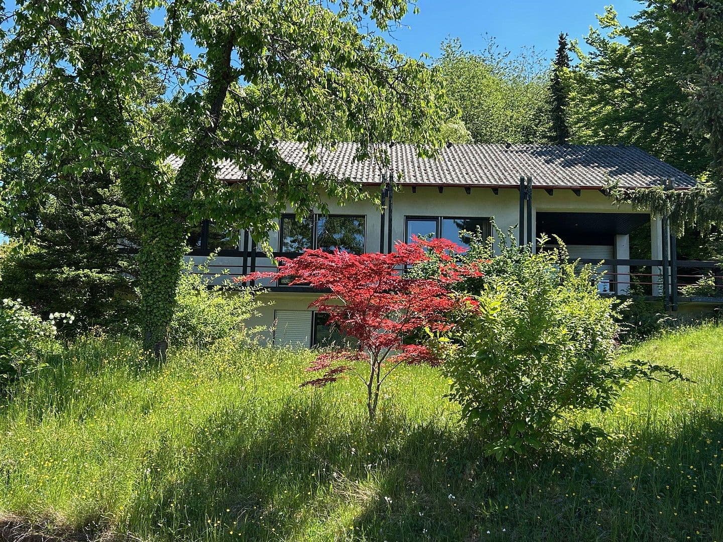 Prodej domu 157 m², pozemek 1.744 m², Annweiler am Trifels, Porýní-Falc Prodej domu 157 m², pozemek 1.744 m², Annweiler am Trifels, Porýní-Falc