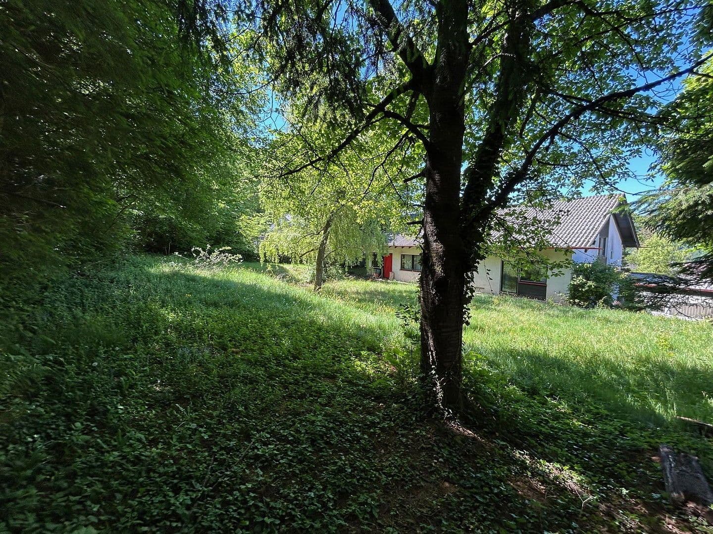 Prodej domu 157 m², pozemek 1.744 m², Annweiler am Trifels, Porýní-Falc Prodej domu 157 m², pozemek 1.744 m², Annweiler am Trifels, Porýní-Falc