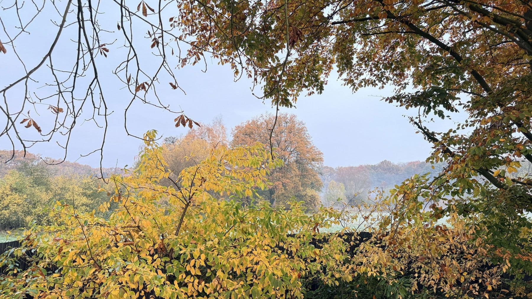 Prodej domu 877 m², pozemek 23.976 m², Balge, Dolní Sasko Prodej domu 877 m², pozemek 23.976 m², Balge, Dolní Sasko