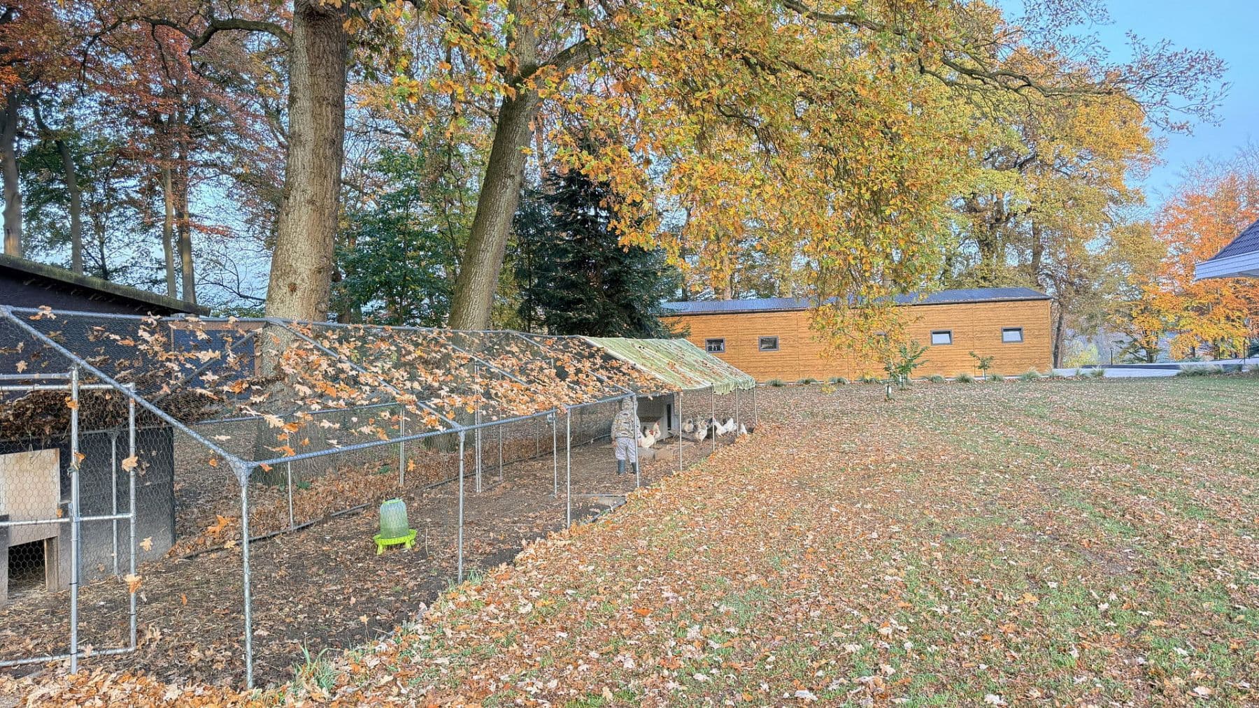 Prodej domu 877 m², pozemek 23.976 m², Balge, Dolní Sasko Prodej domu 877 m², pozemek 23.976 m², Balge, Dolní Sasko