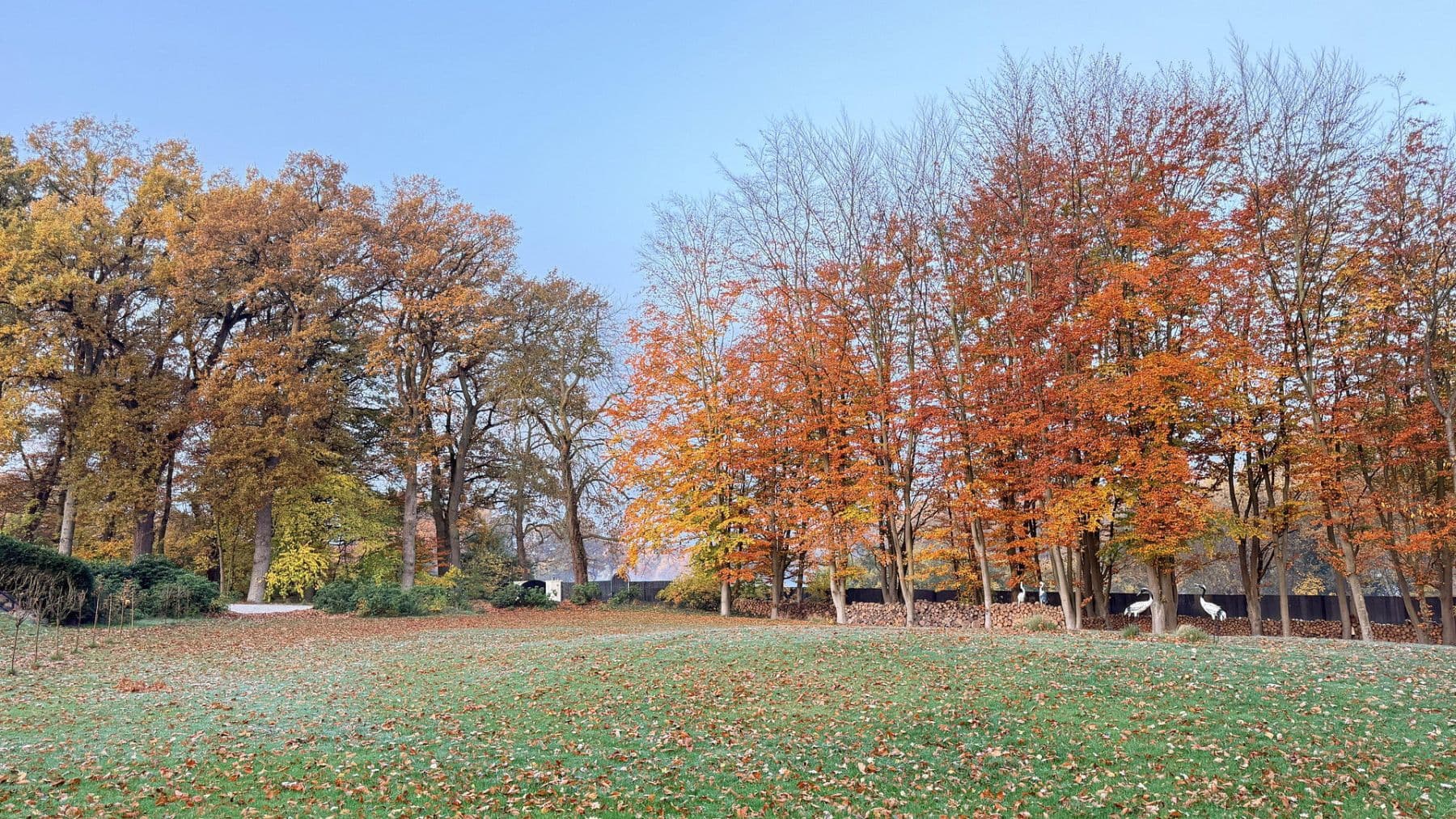 Prodej domu 877 m², pozemek 23.976 m², Balge, Dolní Sasko Prodej domu 877 m², pozemek 23.976 m², Balge, Dolní Sasko