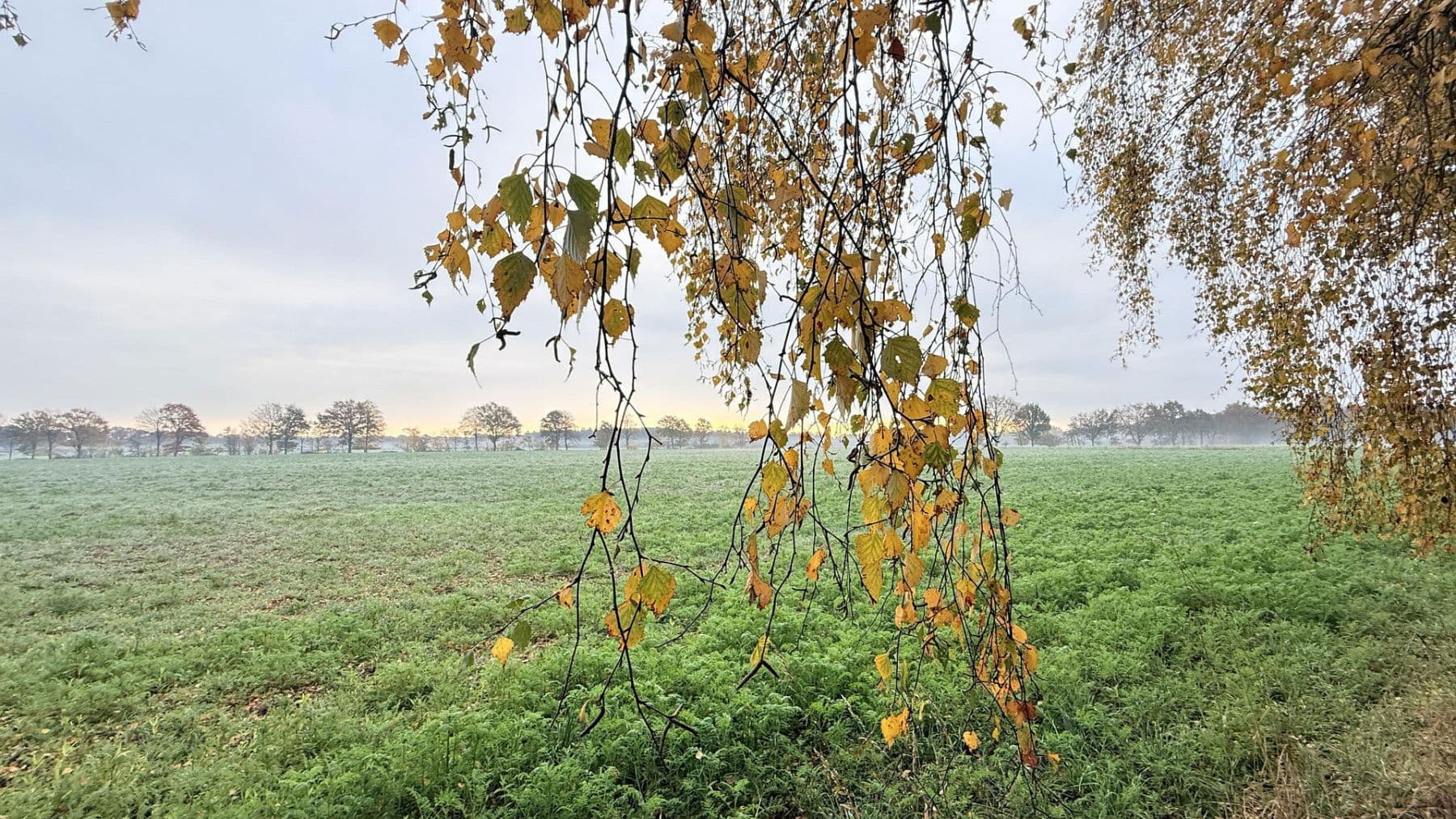 Prodej domu 877 m², pozemek 23.976 m², Balge, Dolní Sasko Prodej domu 877 m², pozemek 23.976 m², Balge, Dolní Sasko