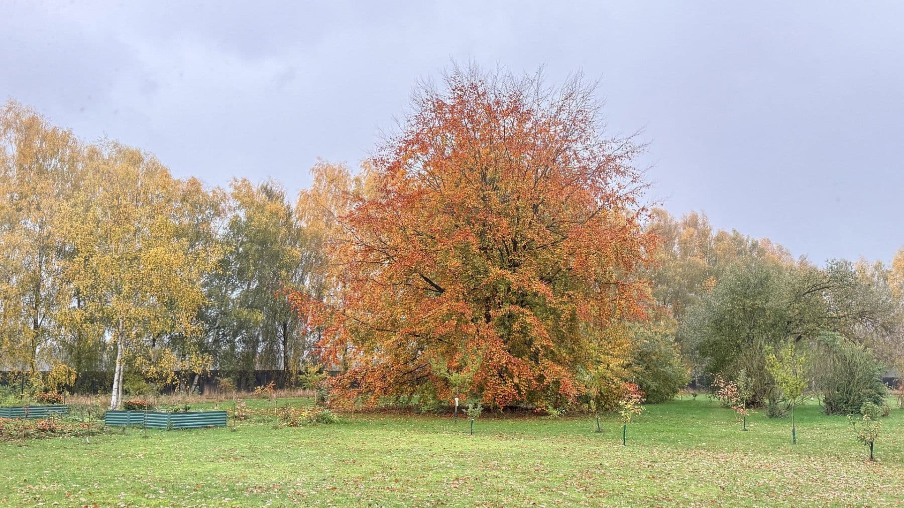 Prodej domu 877 m², pozemek 23.976 m², Balge, Dolní Sasko Prodej domu 877 m², pozemek 23.976 m², Balge, Dolní Sasko