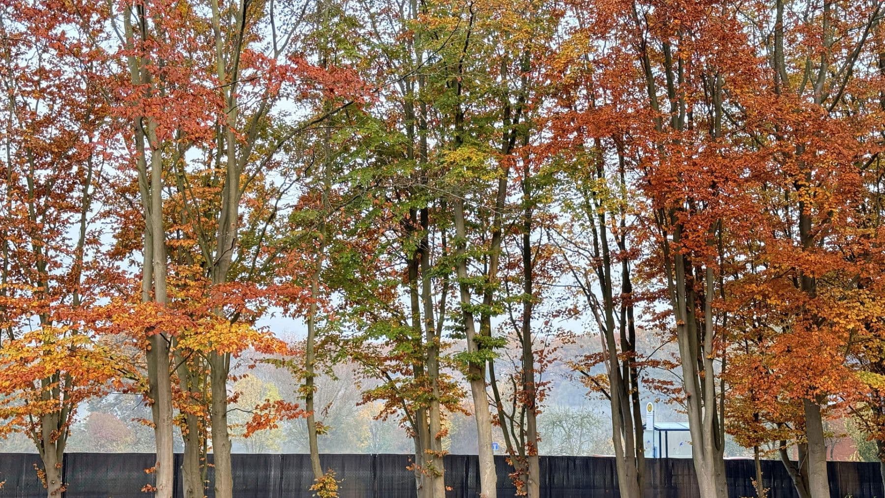 Prodej domu 877 m², pozemek 23.976 m², Balge, Dolní Sasko Prodej domu 877 m², pozemek 23.976 m², Balge, Dolní Sasko