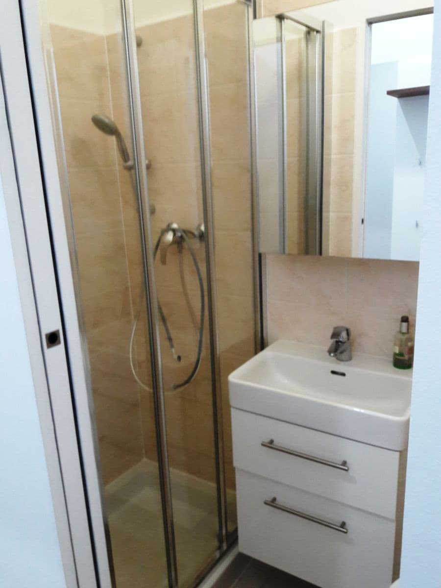 Pronájem bytu 1+1 35 m², Antonínská, Brno, Jihomoravský kraj Pronájem bytu 1+1 35 m², Antonínská, Brno, Jihomoravský kraj