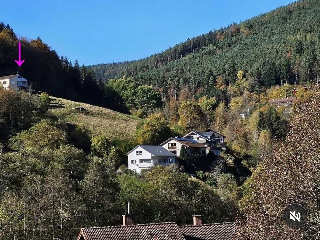 Prodej domu 253 m², pozemek 6.000 m², Ziegelhüttenstr 130, Bad Wildbad, Bádensko-Württembersko Prodej domu 253 m², pozemek 6.000 m², Ziegelhüttenstr 130, Bad Wildbad, Bádensko-Württembersko