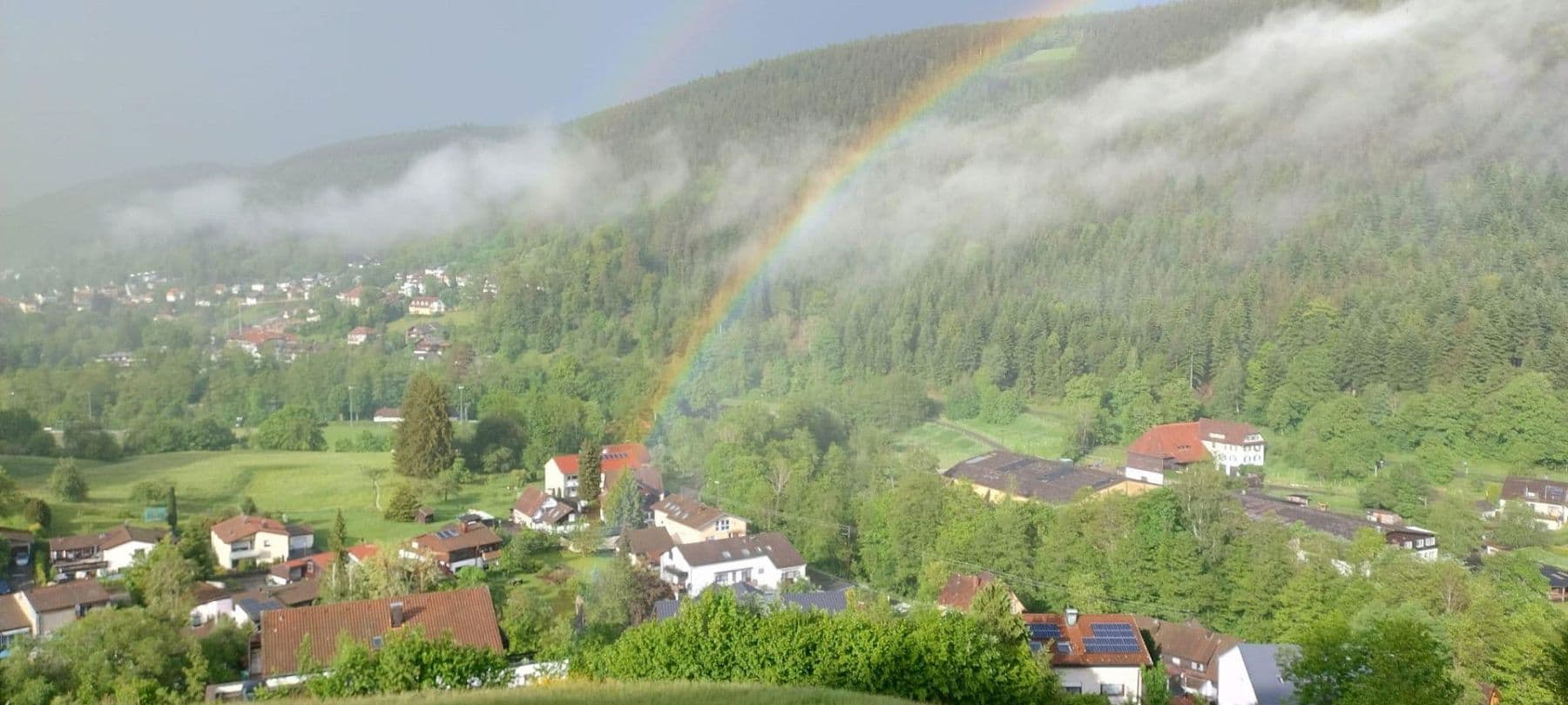 Prodej domu 253 m², pozemek 6.000 m², Ziegelhüttenstr 130, Bad Wildbad, Bádensko-Württembersko Prodej domu 253 m², pozemek 6.000 m², Ziegelhüttenstr 130, Bad Wildbad, Bádensko-Württembersko